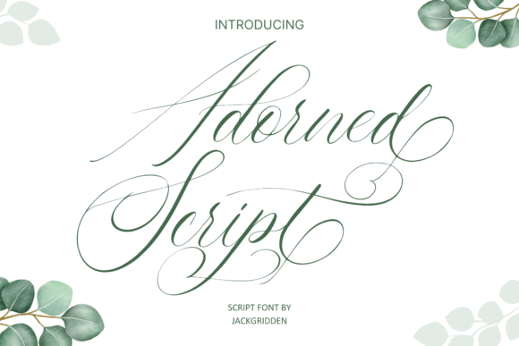Adorned Script Font: Elevating Web Design with Elegant Typography