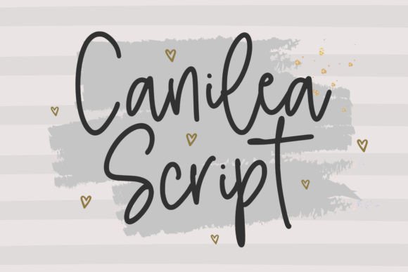 Canilea Script: The Handwritten Font That Adds Personality to Campaign Graphics