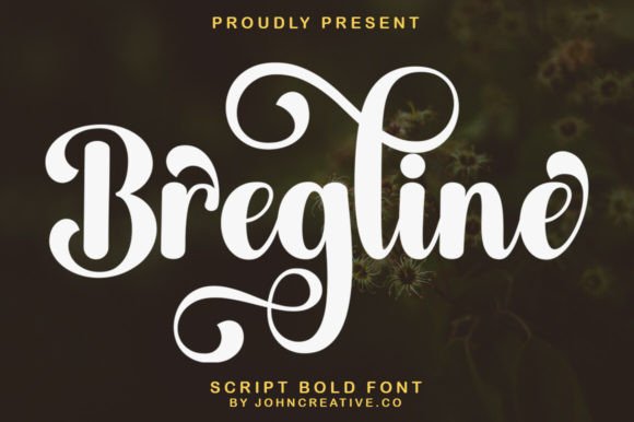 How Bregline Script Transformed My Brand’s Look with Elegant Typography