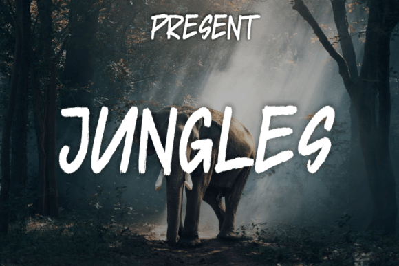 Jungles: A Handwritten Font That Elevates Modern Web Design