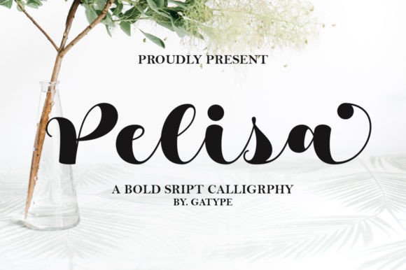 Pelisa: A Modern Script Font for Campaign-Ready Typography