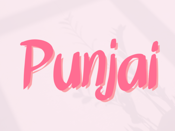 Punjai: A Designer’s Take on Real-World Script Use